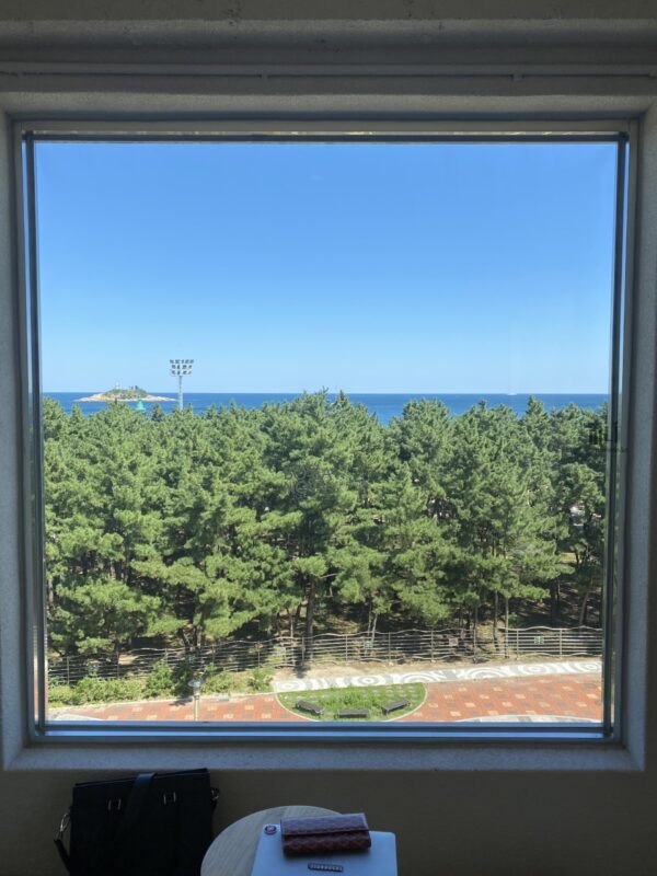 bossanova-cafe-review-03