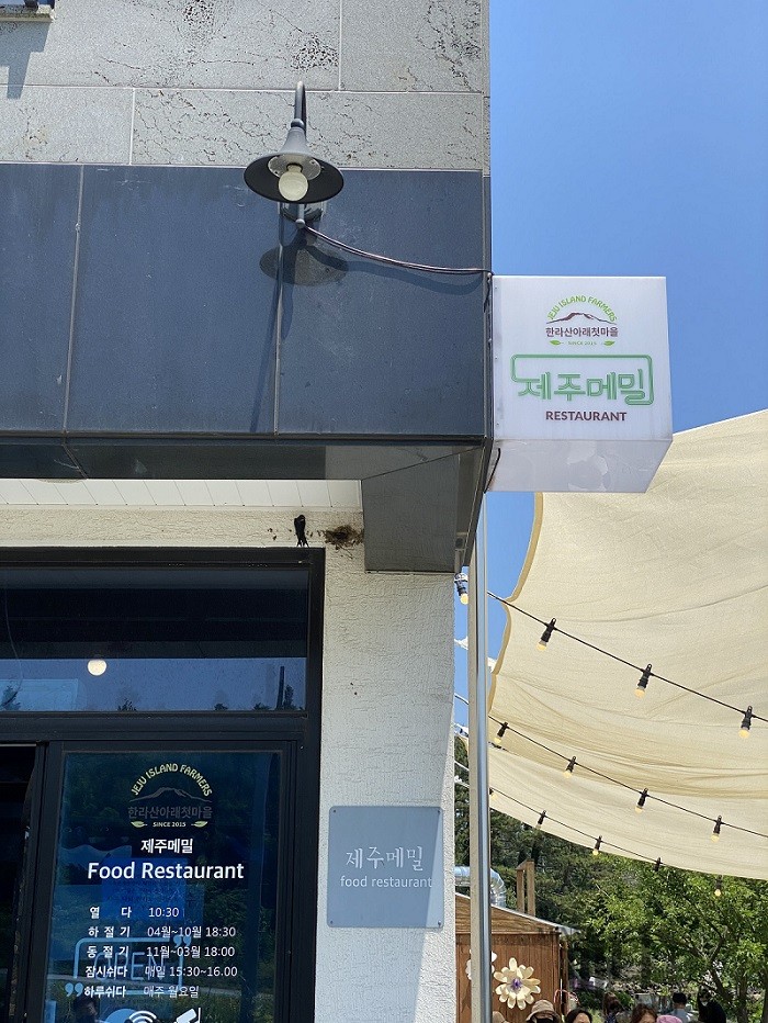 제주 메밀 식당의 건축적 미학이 돋보이는 입구 전경