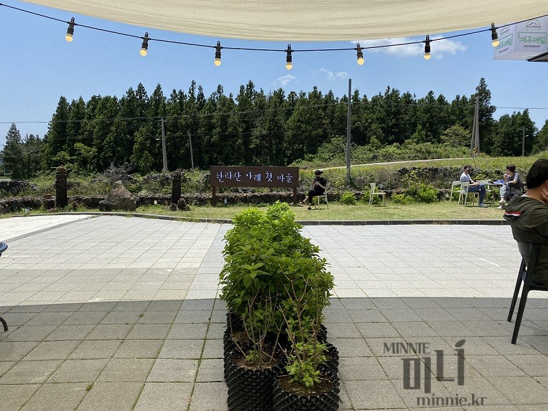 한라산 아래 첫 마을의 외관 테라스와 조경 설계의 미학