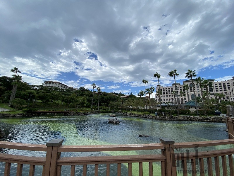 제주 롯데호텔 호수 정원 산책로와 야자수가 어우러진 이국적인 조경