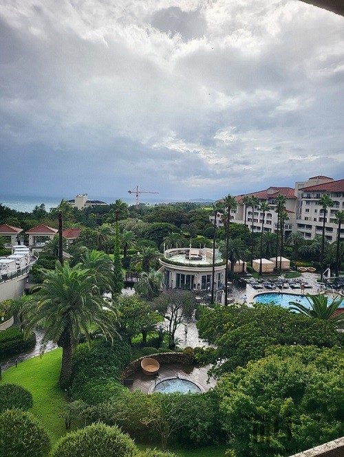 객실 테라스에서 바라본 제주 신라호텔 야외 수영장과 조경 전경