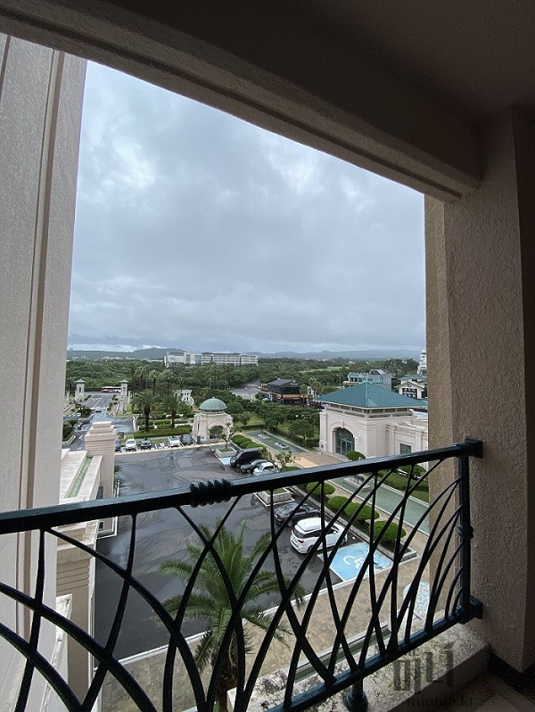 객실 테라스에서 바라본 롯데호텔 제주 야외 정원과 이국적인 야자수 조망