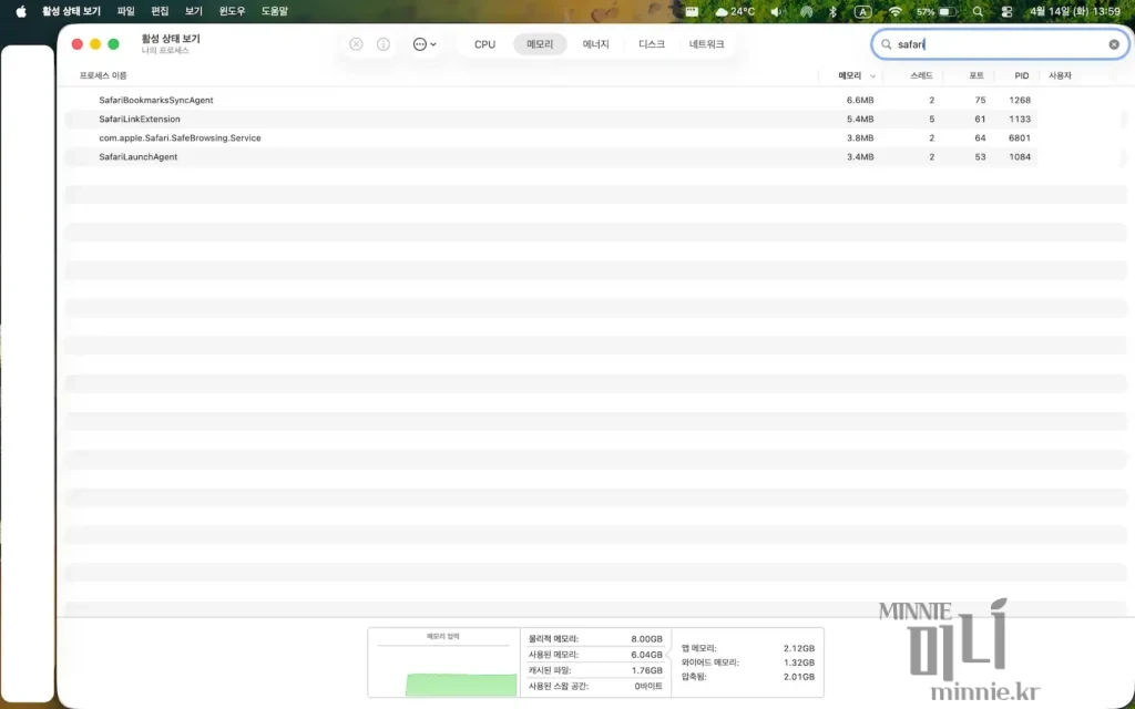 macOS 활성 상태 보기 창에서 사파리(Safari) 관련 프로세스들의 메모리 사용량을 확인하는 화면 스크린샷
