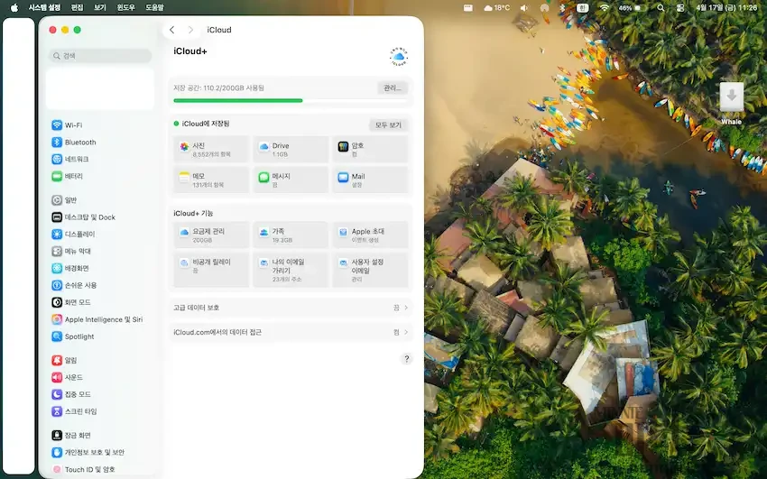 macOS 시스템 설정의 iCloud+ 관리 화면. 200GB 중 110.2GB 사용 중임을 나타내는 바 그래프와 사진, 드라이브, 메모 등 상세 항목 리스트